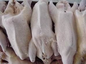 冷冻食品批发白条鹅 鹅腿 鹅舌 价格:12000元