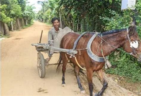柬埔寨农民的生活是什么样的？看到收入后，庆幸生在中国|柬埔寨|农村|村落_新浪新闻