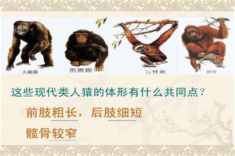 2024昭通古文化遗址游玩攻略,发现了古猿幼年头骨化石，比...【去哪儿攻略】