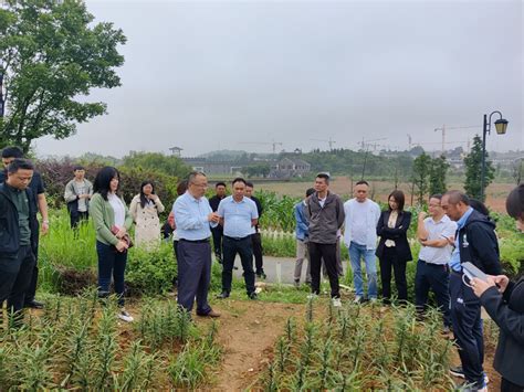 百合课题组在贵州清镇市召开百合产业发展及新品种推介现场会_蔬菜花卉研究所
