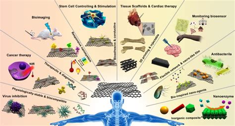 科学网—纳米材料与生物体系间互作研究获进展