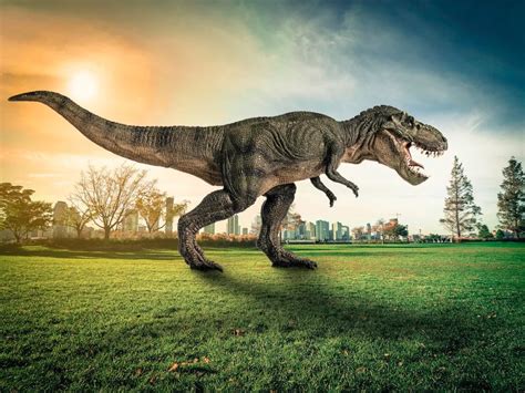 新西兰活捉一只恐龙真的假的？有证据显示恐龙仍未灭绝吗？