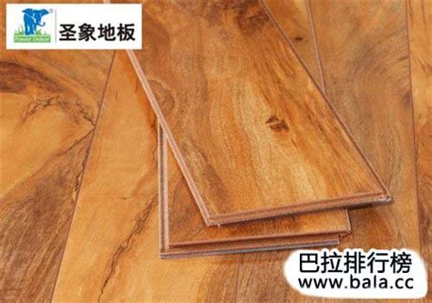 木地板十大品牌介绍 简析木地板和瓷地板的区别 - 品牌之家