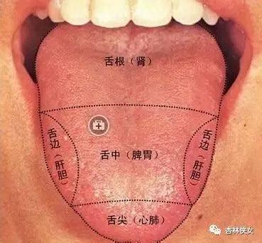 舌系带手术多少钱-有来医生