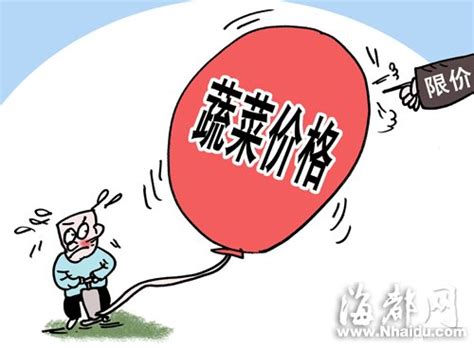 2023年6月，河南省政府出台了这些重要政策-大河网