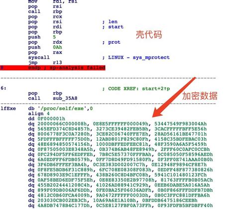 网络安全之恶意代码 | XieJava