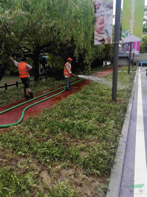 上海绿化施工队、上海绿化临时工、绿化施工队_上海正翔绿化工程有限公司_园林网