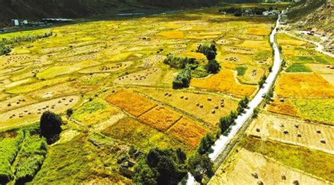 浙江援藏台州农牧小组团赴西藏巨宝生态科技有限公司考察对接高附加值农产品种植项目
