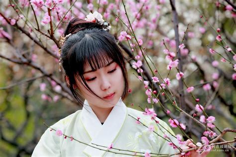 春色撩人图片