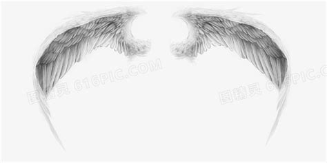 翅膀黑白色翅膀天使精灵装饰图片免费下载_PNG素材_编号1m9irgn79_图精灵