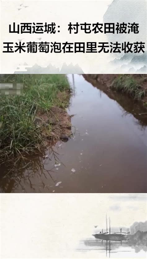 新一轮暴雨袭赣 局地农田受淹房屋倒塌-影像中心-浙江在线