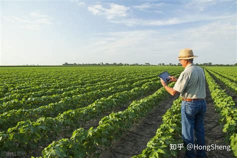 互联网+农业的8大创业方向 - 昇隆生态农业