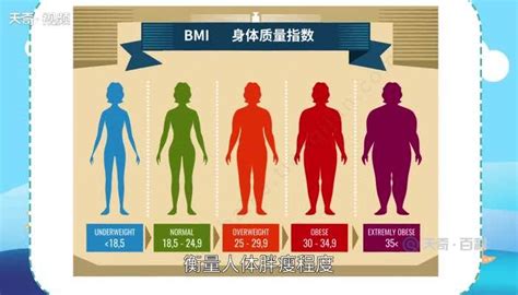 BMI和体脂率的最大区别 - 复禾健康