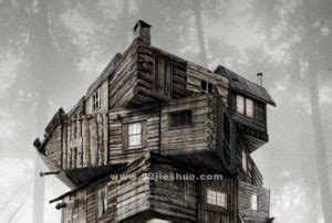《林中小屋》-高清电影-完整版在线观看