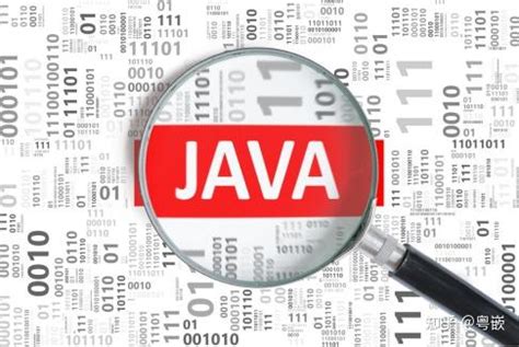 Java 开发人员所需的技能 - 知乎