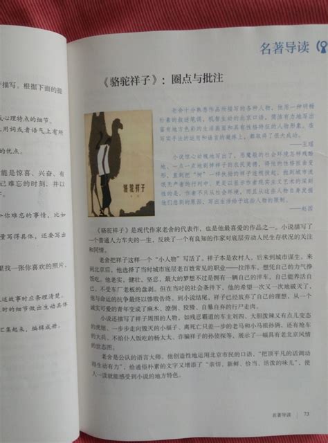 初中语文人教部编版七年级下册名著导读《骆驼祥子》：圈点与批注背景图课件ppt-教习网|课件下载