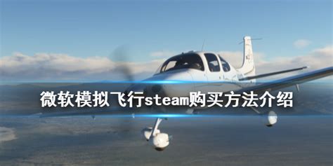 《微软模拟飞行2020》steam叫什么 steam购买方法介绍-30828手游网