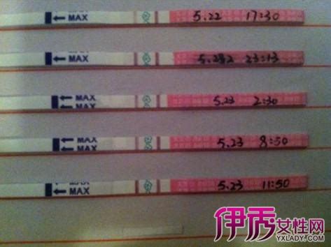 排卵期图片