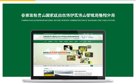 保山模板网站设计技术公司(保山logo设计)_V优客