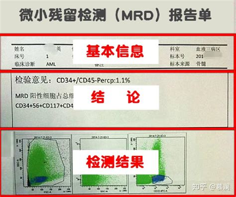 精准直击肿瘤微小（分子）残留病灶，MRD SHOT 桐树生物专业 MRD 检测 PANEL-产品-转化医学网-转化医学核心门户