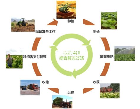 生态农业是什么?生态农业有哪几种经营模式?_北京山合水易规划设计院