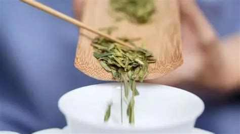 绿茶冲泡方法- 茶文化网