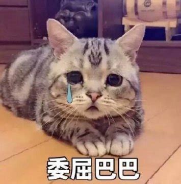 表情包心里苦图片