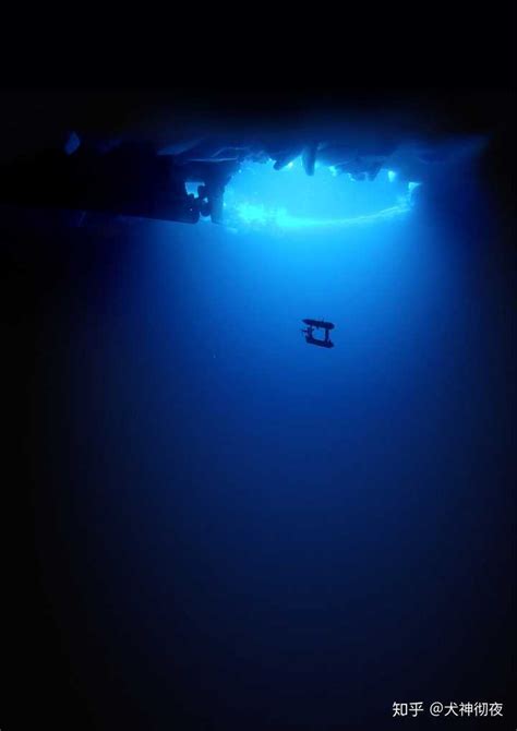 海底一万米有多恐怖？实景拍摄深海生物，长相丑陋凶悍|海底|深海|长相_新浪新闻