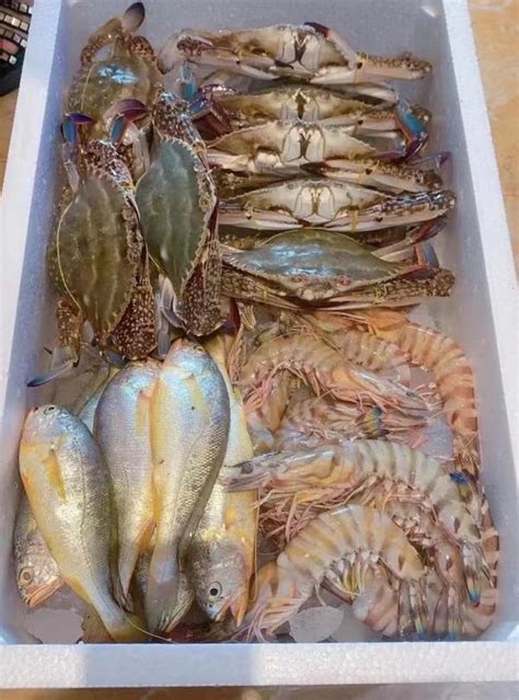在印度尼西亚巴厘岛金巴兰的PasarIkanKedonganan出售新鲜海卖鱼的新鲜龙虾海鲜柜台上出售的高清图片下载-正版图片 ...