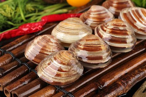 25种贝壳类海鲜盘点，你最常吃的是哪一个？_海鲜水产_什么值得买