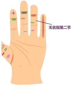右手食指中指无名指小指特写JPG图片免费下载_红动中国
