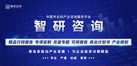 2023-2029年中国弱电行业市场运营格局及未来前景分析报告_发展_销售_系统