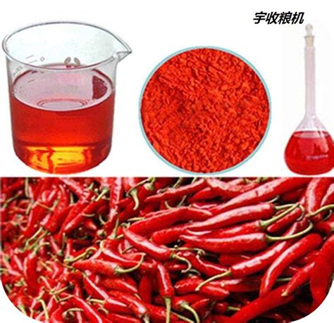 辣椒素类衍生物及其合成方法和应用与流程