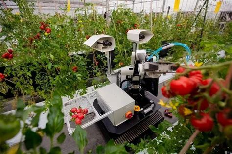 2020年全国粮食增产113亿斤 再创历史新高_智慧农业_AI资讯_工博士人工智能网