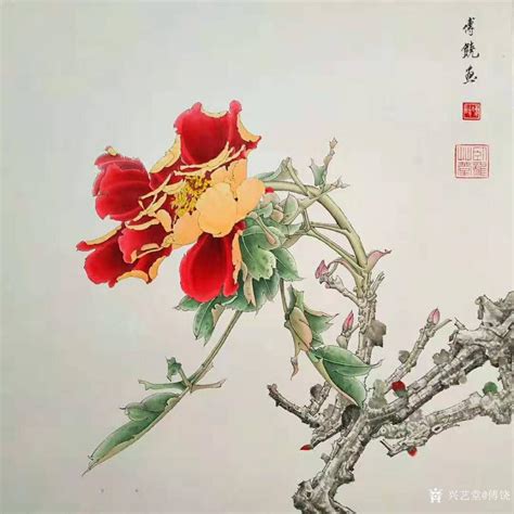 国画作品|工笔花鸟-牡丹（一）|傅饶_兴艺堂