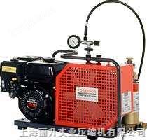 高压充气泵优质可选鲍氏压缩机智能系统_高压充气泵30Mpa_鲍氏压缩机（上海）有限公司