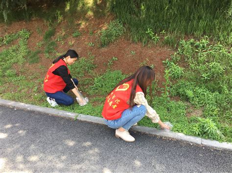 教科院青协开展打扫绿化带活动