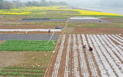 甘肃张掖现代农业示范园，开启智慧农业标准化种植