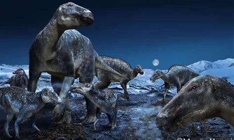 世界之最！崇州这家博物馆里藏着一条身长近40米的化石恐龙_四川在线
