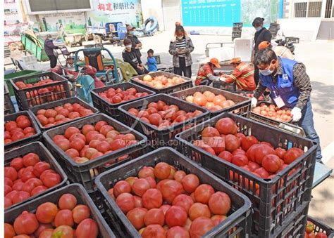 安徽淮南：新鲜蔬菜驰援上海-人民图片网