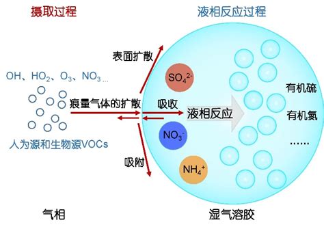 科学家揭示液相二次有机气溶胶的来源和形成机制 - 中国核技术网