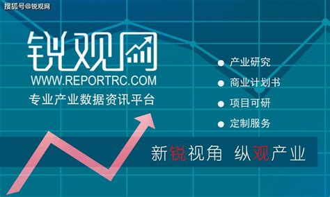 2023年中国控制阀行业市场格局及投资规划建议报告_分析_产业_企业