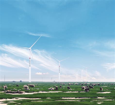 中电建新能源集团有限公司 陆上风电 吉林长岭王子风电场