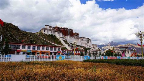 西藏拉萨林芝十日游-林芝旅游攻略-游记-去哪儿攻略