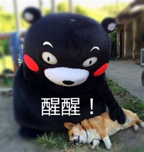 醒醒吧别做梦了图片