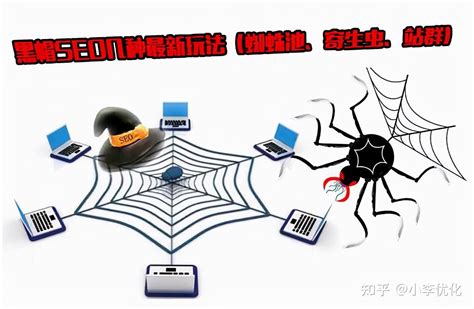 蜘蛛池出租 - SEO服务(770SEO工具)