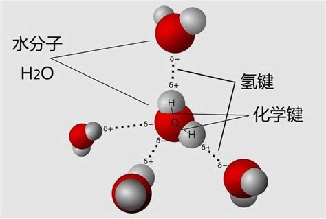 氢键的形成、特点及对物质性质的影响_化学自习室（没有学不到的高中化学知识！）