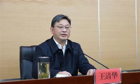 武汉市副市长王清华被查！系“70后”博士，3天前曾公开露面-新闻频道-和讯网