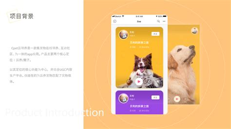 Cpet宠物云领养app|UI|APP interface|泠一_Original作品-站酷(ZCOOL)