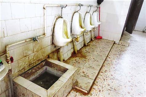 江门这个“网红公厕”颜值超高！“小厕所”蕴含“大民生”，彰显“大文明”！|园林|公厕|马山公园_新浪新闻